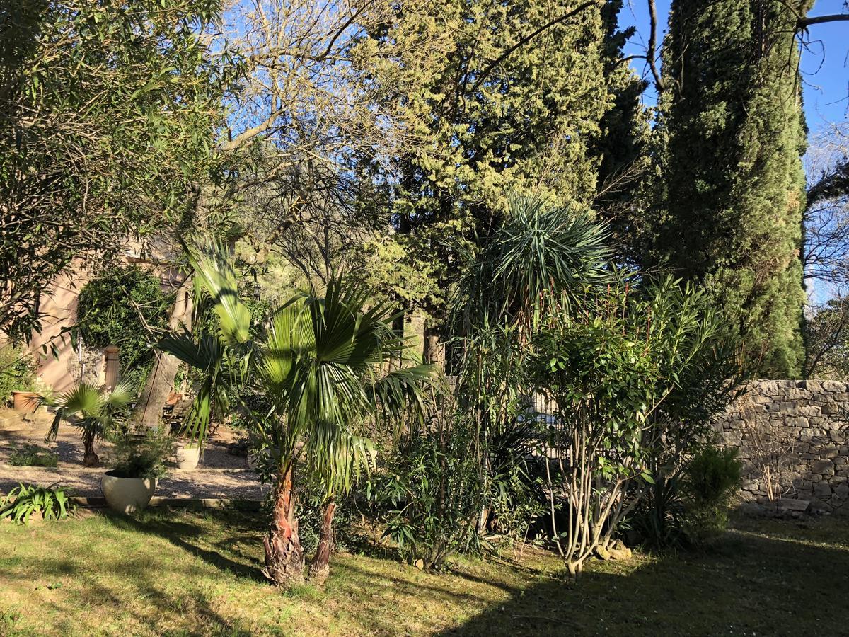 Auberge De Pachoquin Meounes-les-Montrieux Zewnętrze zdjęcie